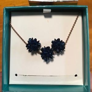 Kate Spade Navy Blue Necklace & Earrings